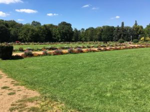 Guillaume Ghrenassia www.ghrenassia.com sziget festival 2016 luxsure magazine (30)