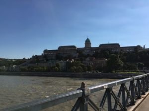 Guillaume Ghrenassia www.ghrenassia.com sziget festival 2016 luxsure magazine (5)