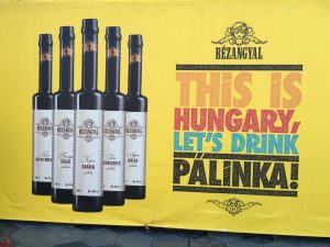 guillaume-ghrenassia-www-ghrenassia-com-sziget-festival-2016-budapest-hungary-luxsure-2