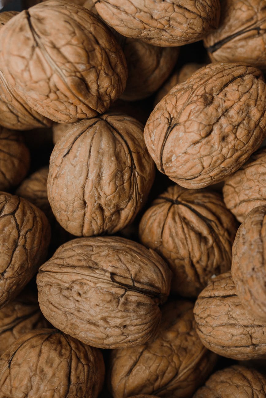 close up shot of walnuts