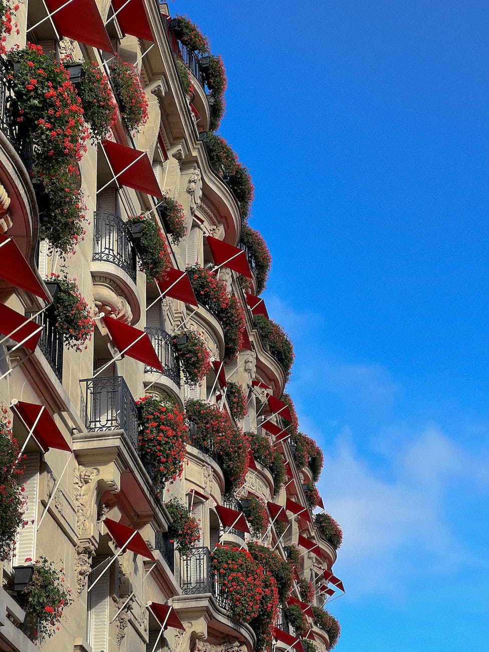 low angle photography of the hotel plaza athenee in paris france