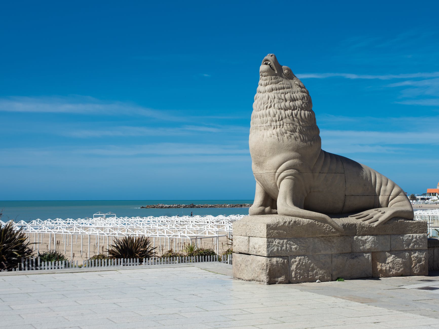 close up shot of monumento lobos marino in mar del plata