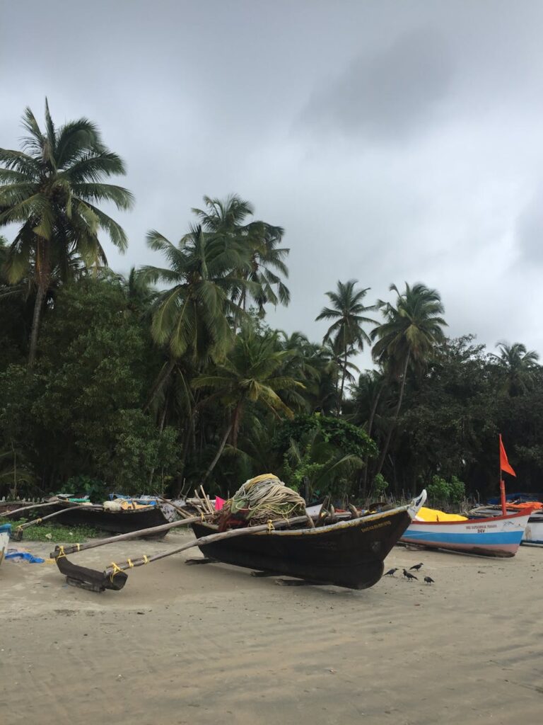 palm trees and boats on a sandy beach