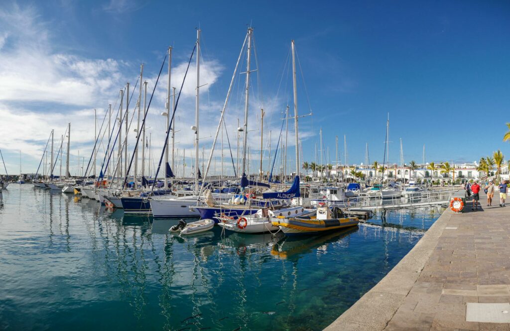docked sailboats on the harbor