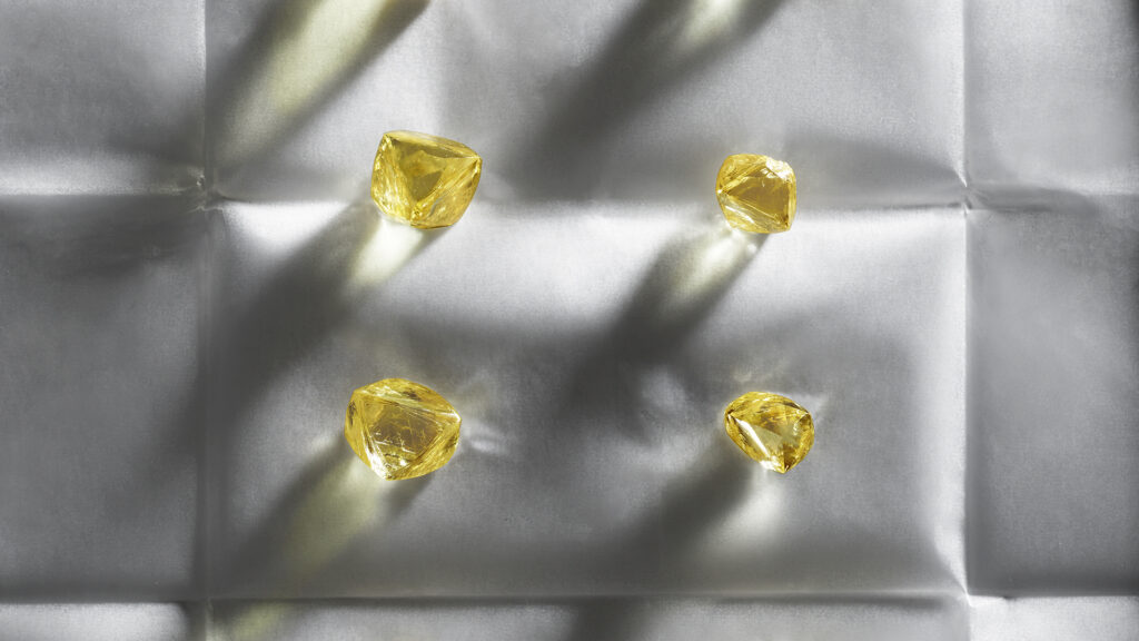 Odyssée Brillance Raffinement: Awakened Hands, Minds Louis Vuitton