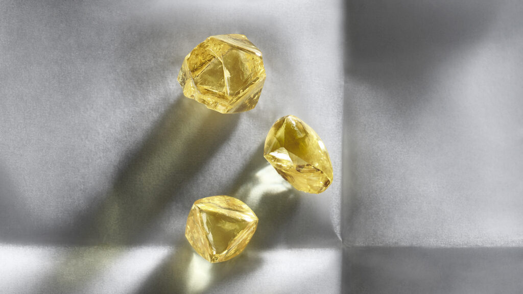 Odyssée Brillance Raffinement: Awakened Hands, Minds Louis Vuitton