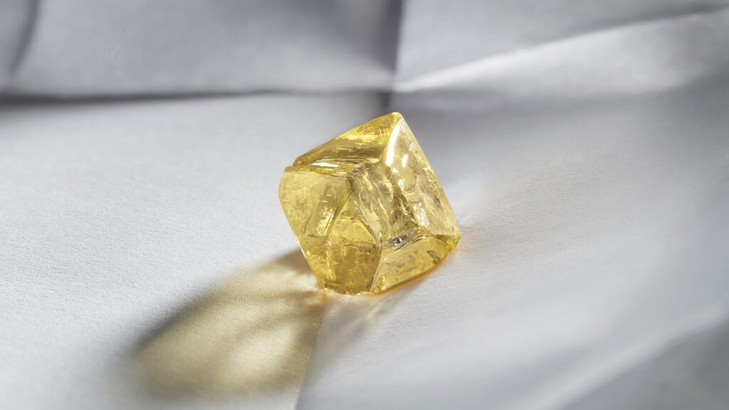 Odyssée Brillance Raffinement: Awakened Hands, Minds Louis Vuitton