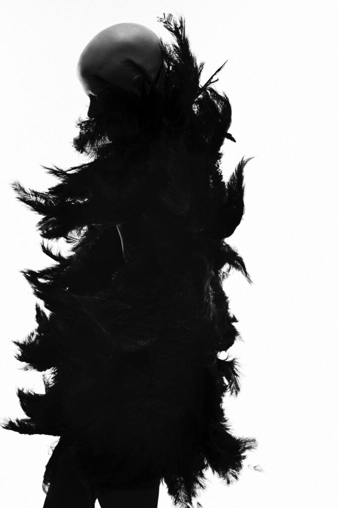 Editorial lumière textures