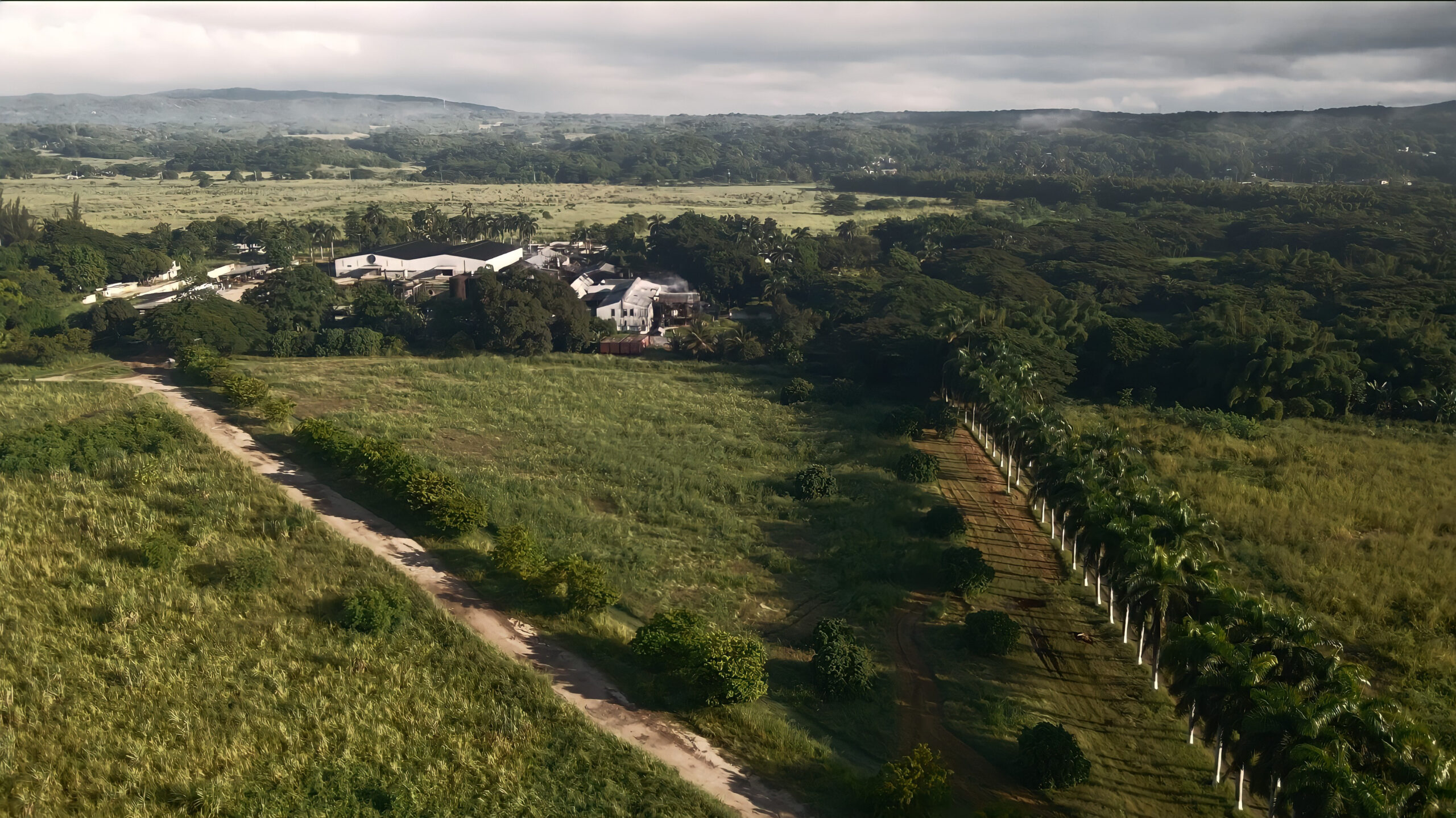 Hampden 1753 L’Essence Terroir Jamaïcain dans Rhum d’Exception