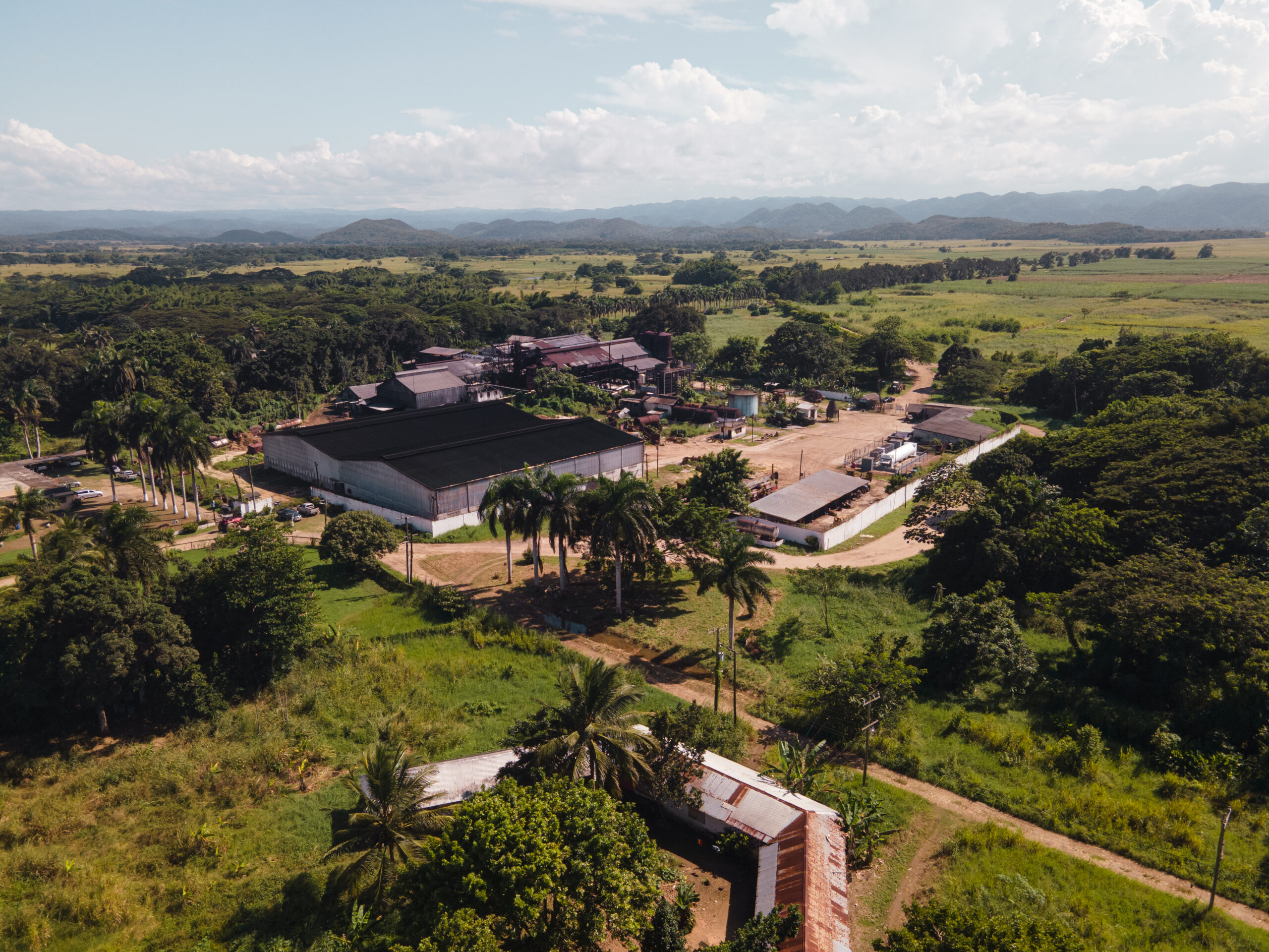 Hampden 1753 L’Essence Terroir Jamaïcain dans Rhum d’Exception