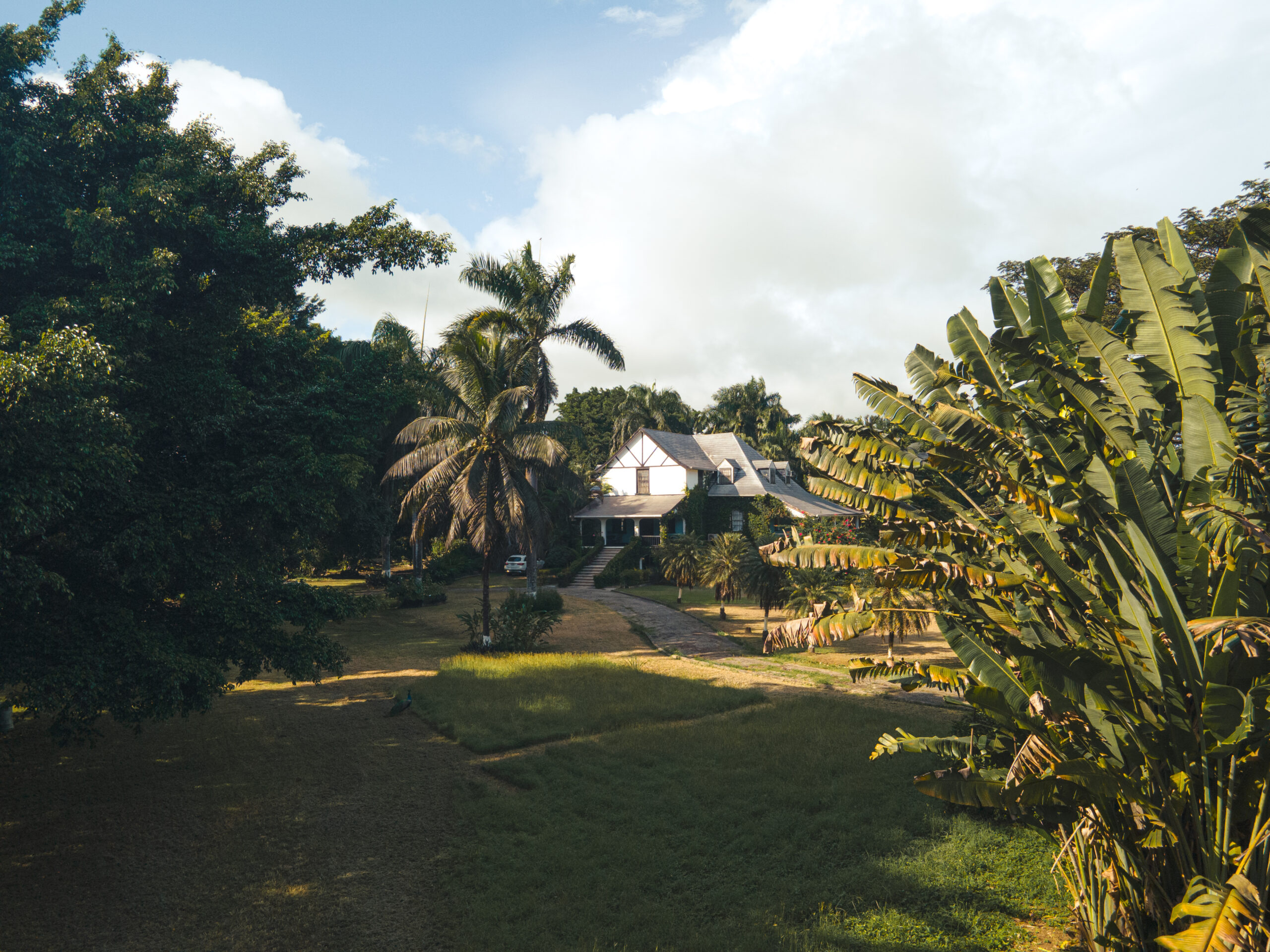 Hampden 1753 L’Essence Terroir Jamaïcain dans Rhum d’Exception