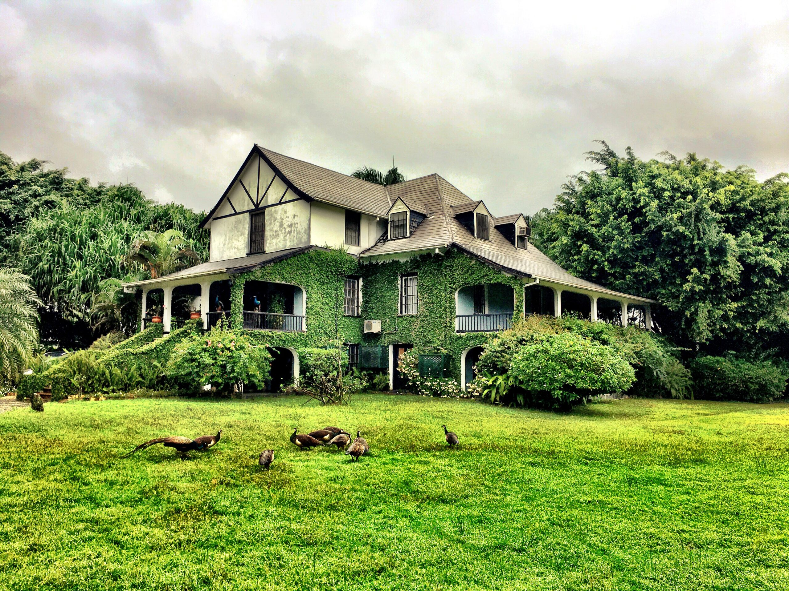 Hampden 1753 L’Essence Terroir Jamaïcain dans Rhum d’Exception