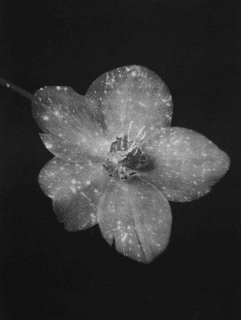 Paris Photo 2024 Retour Édition Visionnaire pour Bicentenaire Photographie