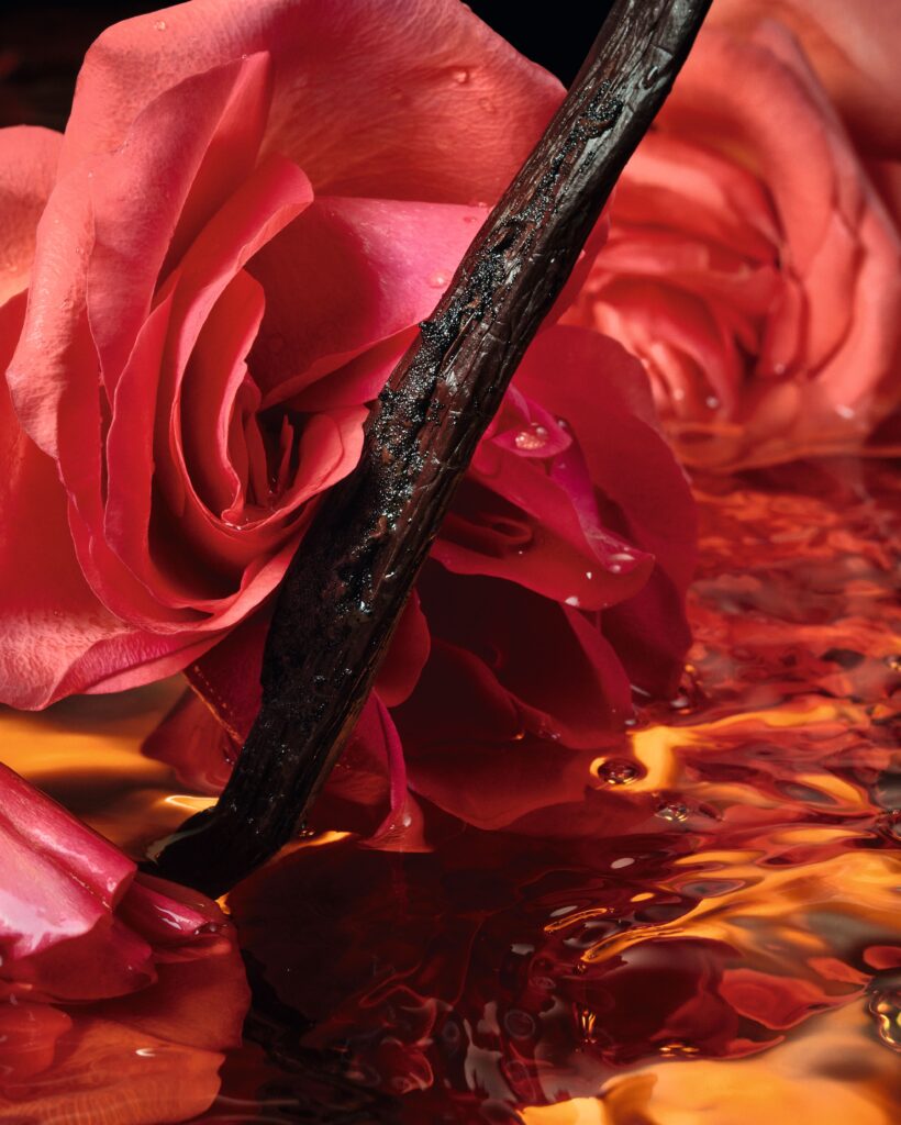 Shalimar Millésime Rose, ou la fleur reprise dans l’ambre 25 SHALIMAR 2026 VISUEL INGREDIENT