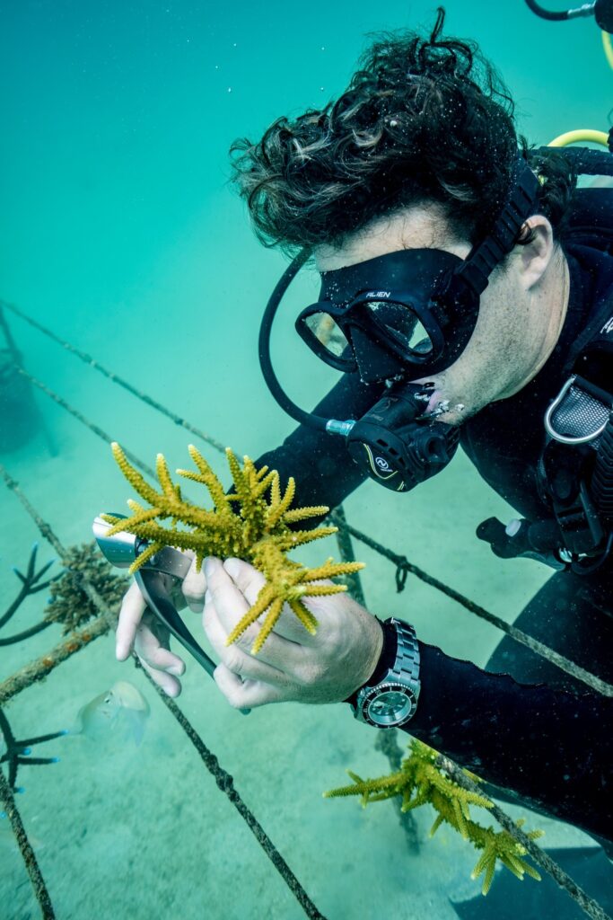 Rolex, Coral Gardeners et Sylvia Earle : restaurer les récifs comme un geste de transmission 30 ppi cgxse 2511tm 0123