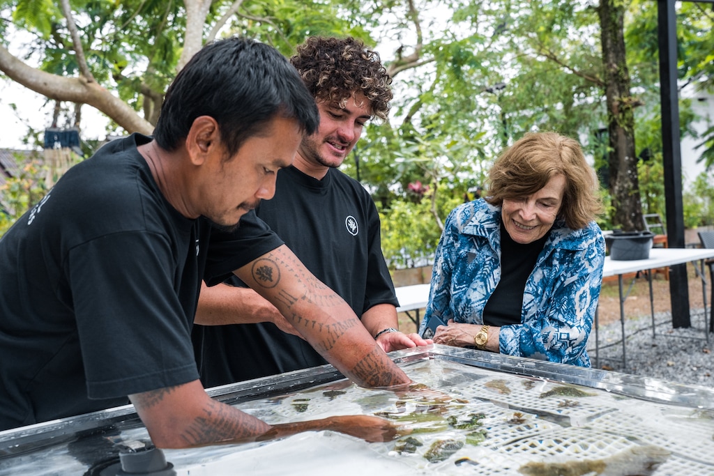 Rolex, Coral Gardeners et Sylvia Earle : restaurer les récifs comme un geste de transmission 42