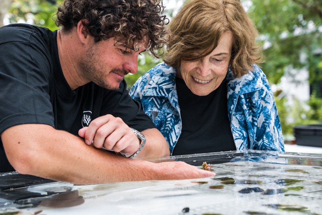 Rolex, Coral Gardeners et Sylvia Earle : restaurer les récifs comme un geste de transmission 43
