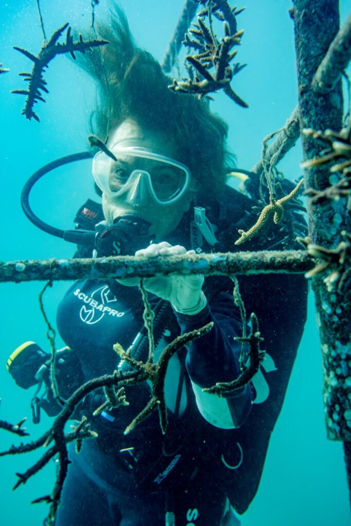 Rolex, Coral Gardeners et Sylvia Earle : restaurer les récifs comme un geste de transmission 47 ppi cgxse 2511tm 0370