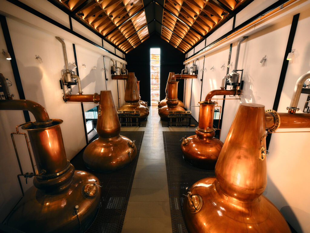 The Dalmore transforme sa distillerie des Highlands en expérience culturelle immersive 33 02 02 26 DALMORE TEASER 4254 1