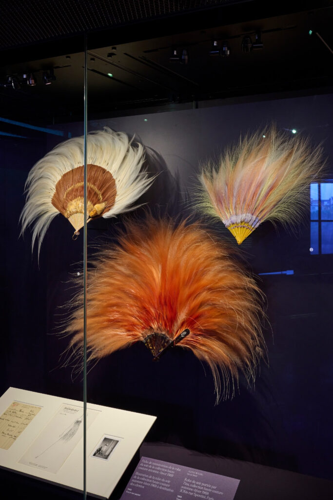 Plumes du paradis, ou la longue histoire d’un désir occidental 35 unnamed 8