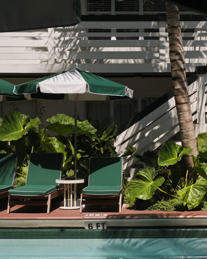 Le Perroquet: A Place Where Florida Hospitality Takes on a Homey Feel 39 26028 Perroquet Handheld 327
