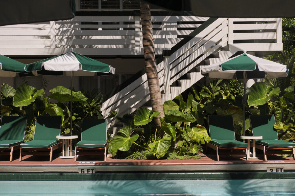 Le Perroquet: A Place Where Florida Hospitality Takes on a Homey Feel 40 26028 Perroquet Handheld 328