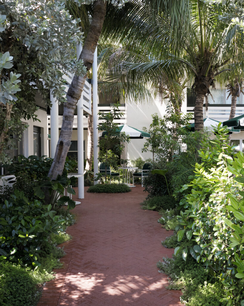 Le Perroquet: A Place Where Florida Hospitality Takes on a Homey Feel 41 26028 Perroquet Handheld 354