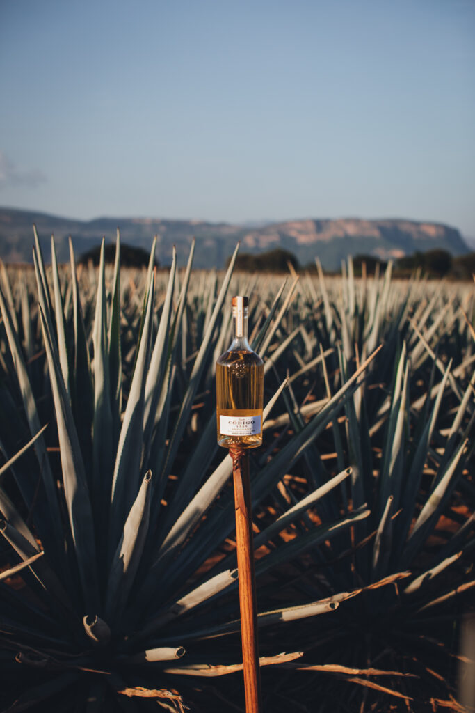 Código 1530 et Altos : quand la tequila mérite enfin d'être prise au sérieux 38 Codigo 1530 Lifestyle Reposado 3 global rights