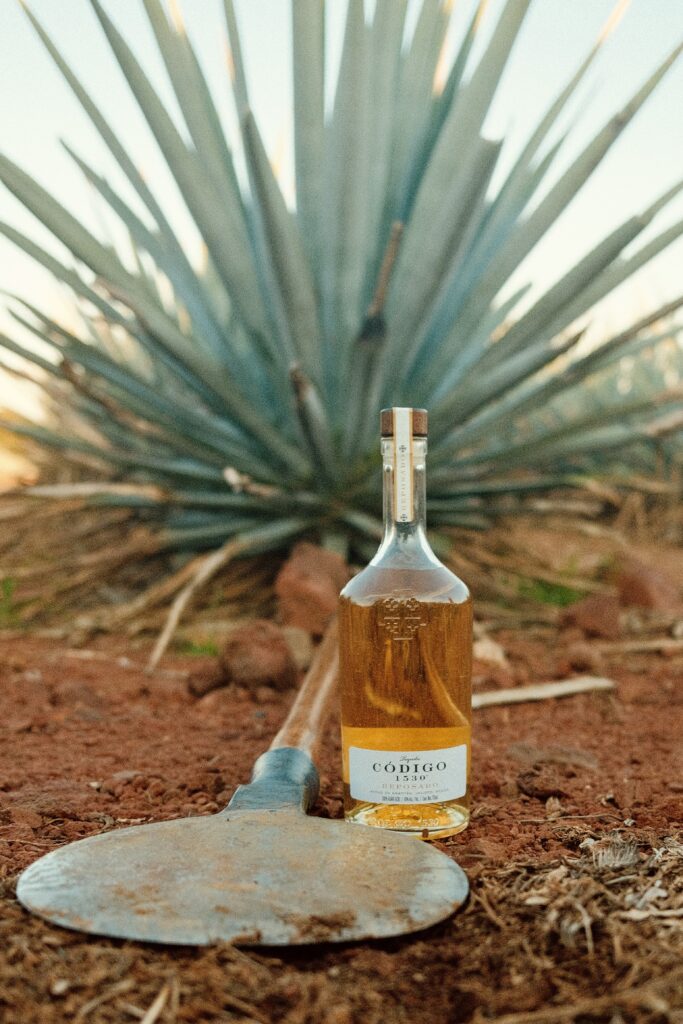Código 1530 et Altos : quand la tequila mérite enfin d'être prise au sérieux 36 Codigo 1530 Lifestyle Reposado 5 global rights