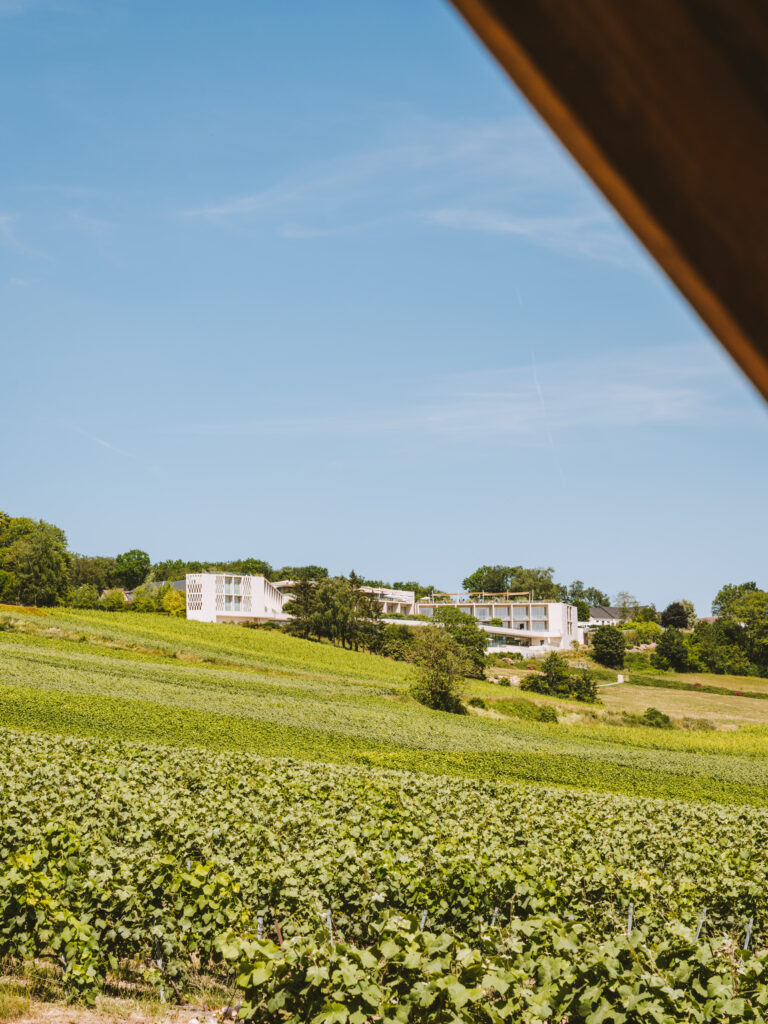 Royal Champagne, le premier Palace du Grand Est 25 External summer view 1