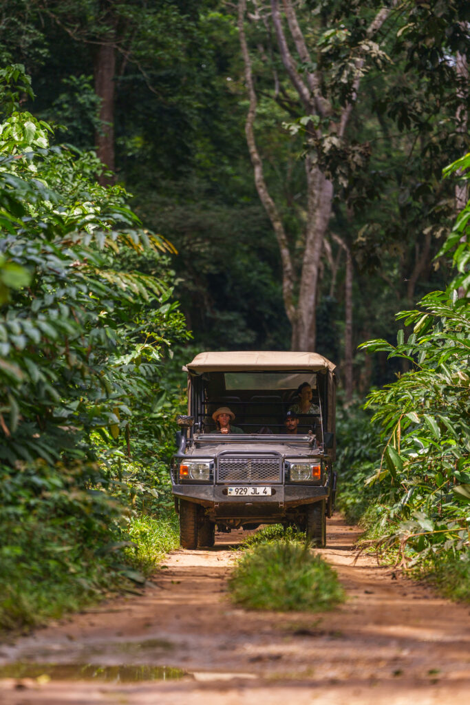 À Ngaga Lodge, on entre dans la forêt par le haut 27 Felix Studios Congo Kamba Sep 2023 323
