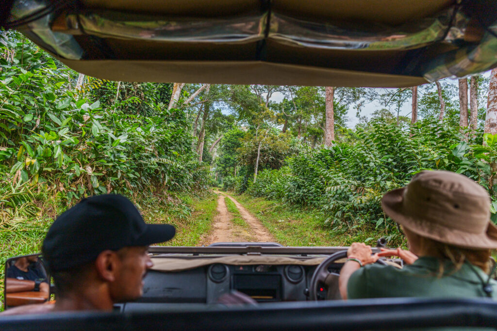À Ngaga Lodge, on entre dans la forêt par le haut 29 Felix Studios Congo Kamba Sep 2023 326