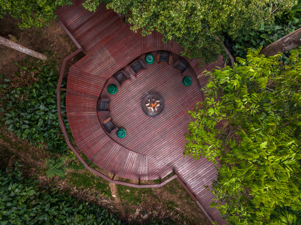 À Ngaga Lodge, on entre dans la forêt par le haut 59 Felix Studios Congo Kamba Sep 2023 327