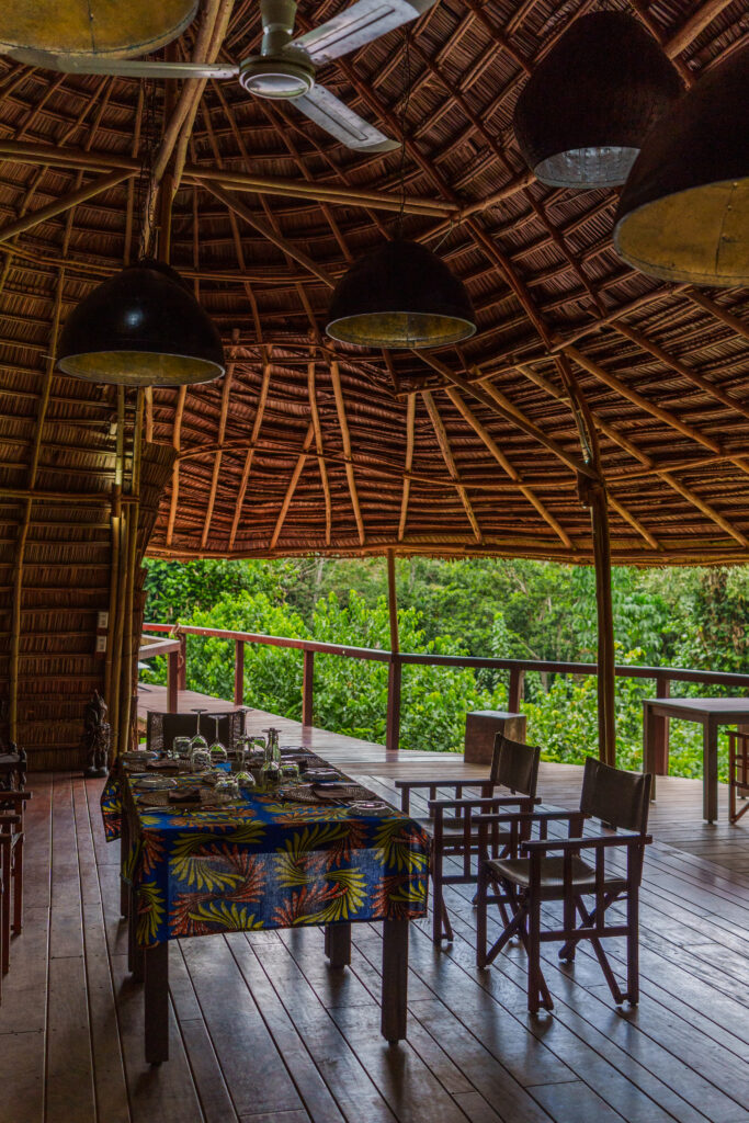 À Ngaga Lodge, on entre dans la forêt par le haut 56 Felix Studios Congo Kamba Sep 2023 335