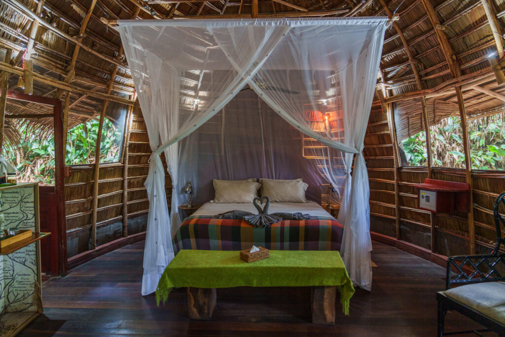 À Ngaga Lodge, on entre dans la forêt par le haut 69 Felix Studios Congo Kamba Sep 2023 353