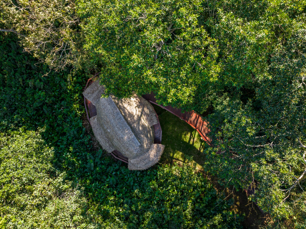À Ngaga Lodge, on entre dans la forêt par le haut 78 Felix Studios Congo Kamba Sep 2023 358