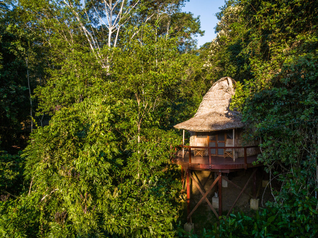 À Ngaga Lodge, on entre dans la forêt par le haut 72 Felix Studios Congo Kamba Sep 2023 365