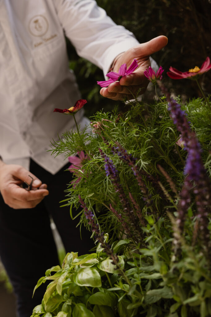 L’Herbier Secret du Crillon : la table la plus privée de Paris n’a jamais été aussi accessible 28 HoteldeCrillon 062026 NolwennPernin 4