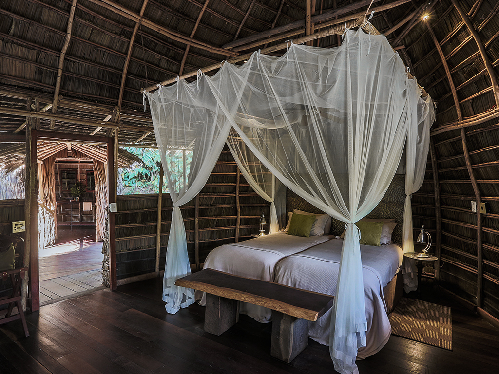 À Ngaga Lodge, on entre dans la forêt par le haut 57 Kamba Ngaga 04