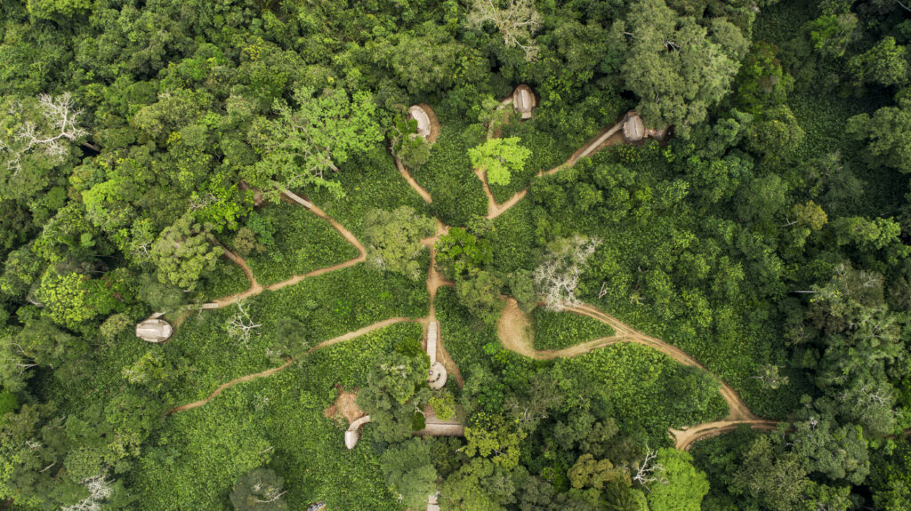 À Ngaga Lodge, on entre dans la forêt par le haut 81 Kamba Ngaga From above Rhino Africa
