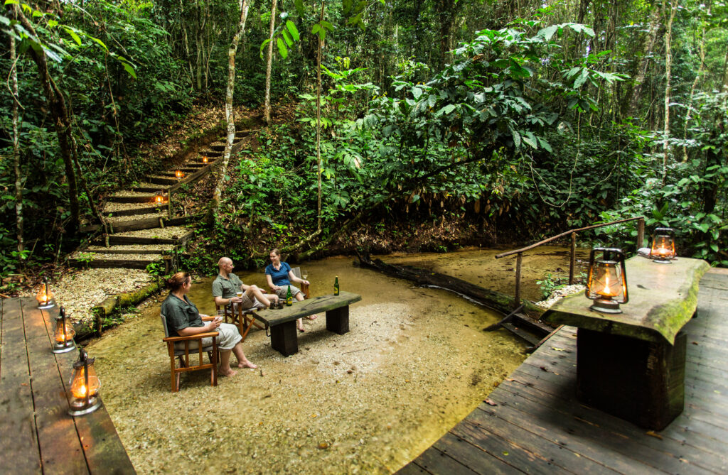 À Ngaga Lodge, on entre dans la forêt par le haut 50 Kamba River Experiences 12