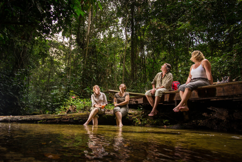 À Ngaga Lodge, on entre dans la forêt par le haut 26 Kamba River Experiences 14