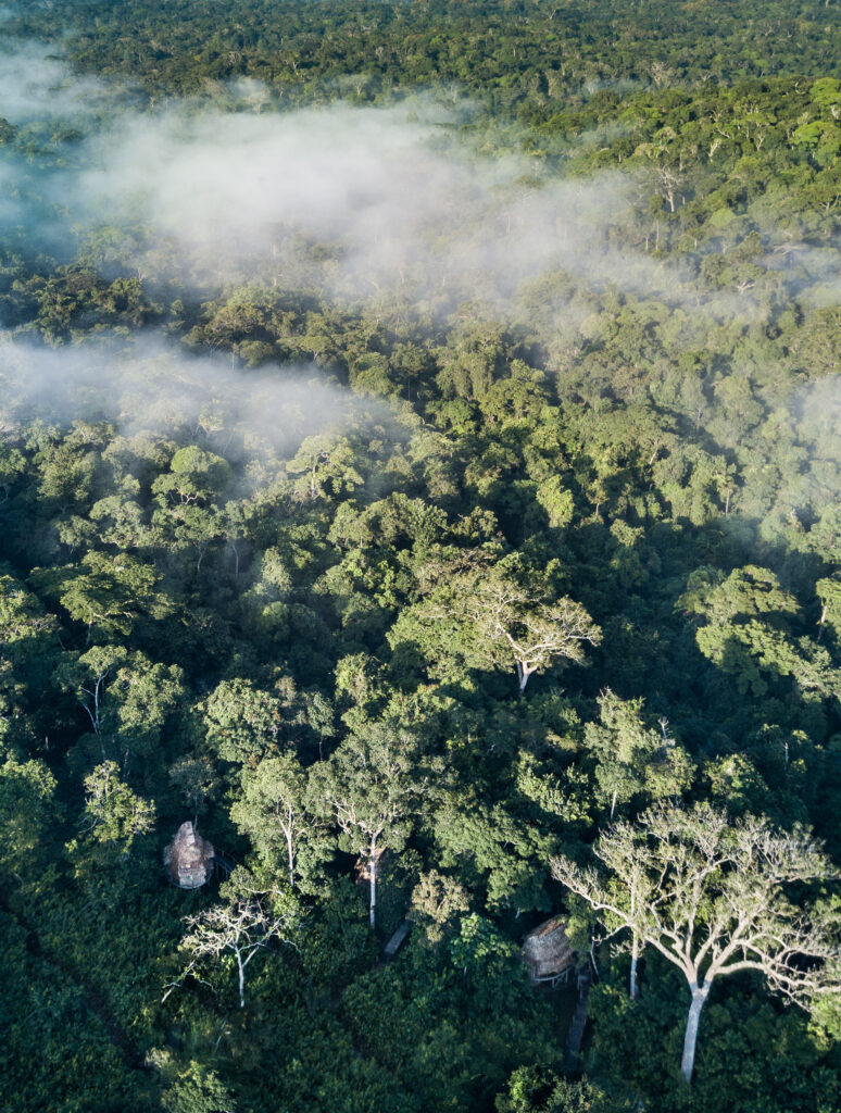 À Ngaga Lodge, on entre dans la forêt par le haut 80 Kamba scott ramsey038