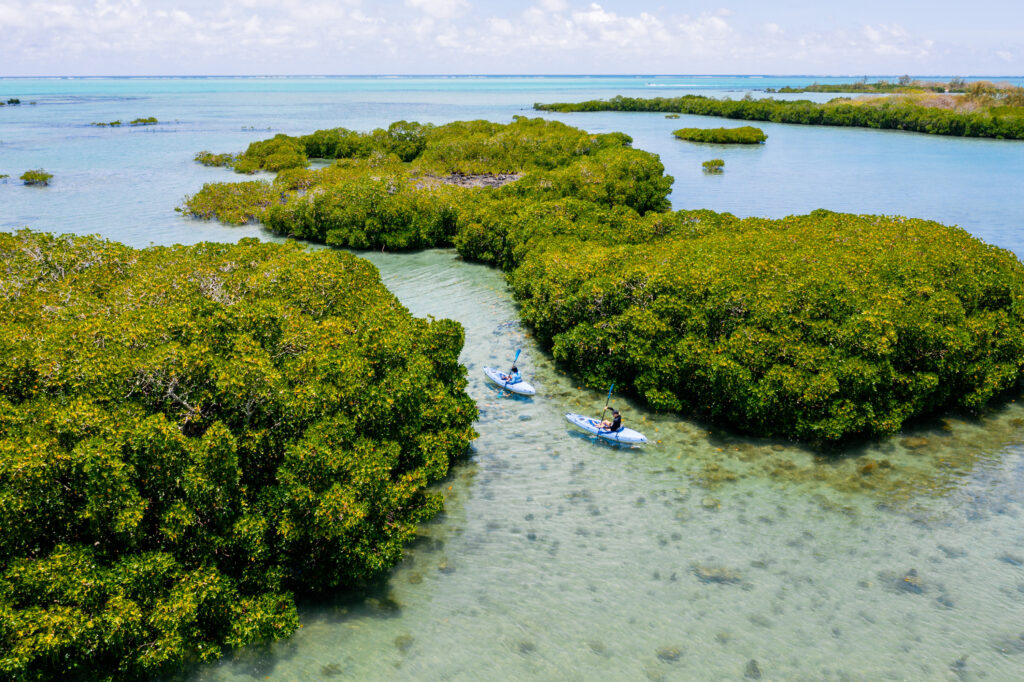Four Seasons Mauritius at Anahita : le miel comme politique 28 MAS 743 original