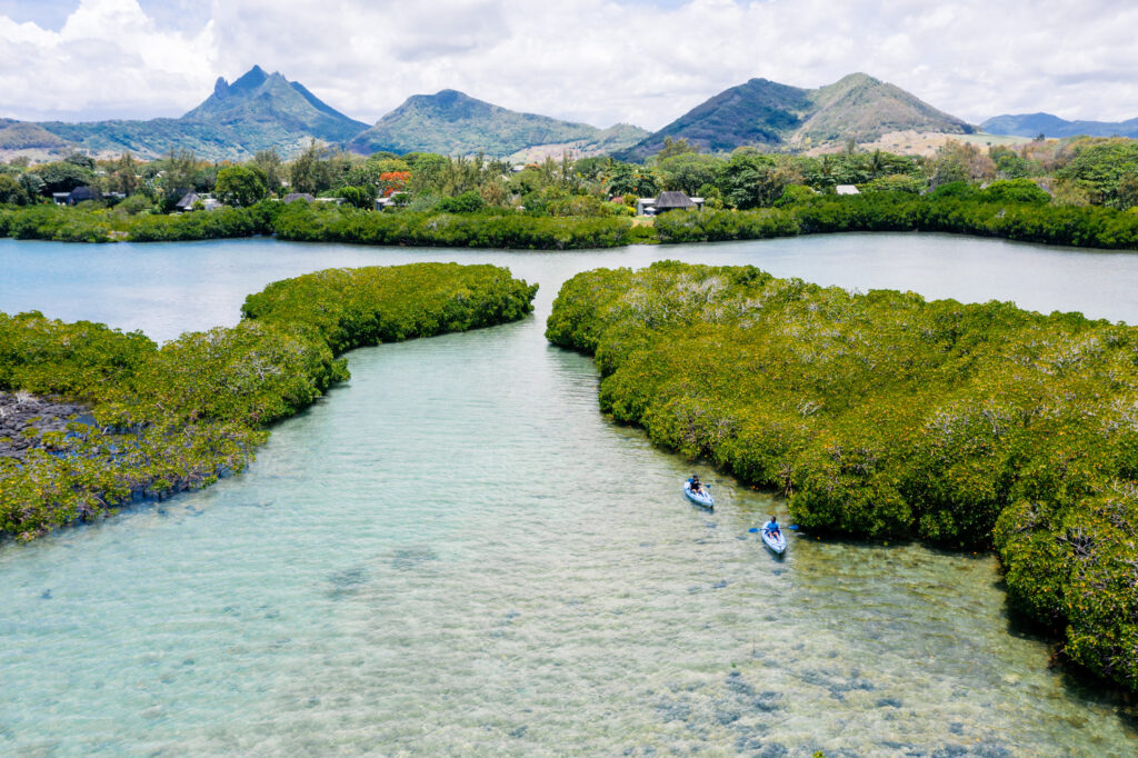 Four Seasons Mauritius at Anahita : le miel comme politique 29 MAS 745 original