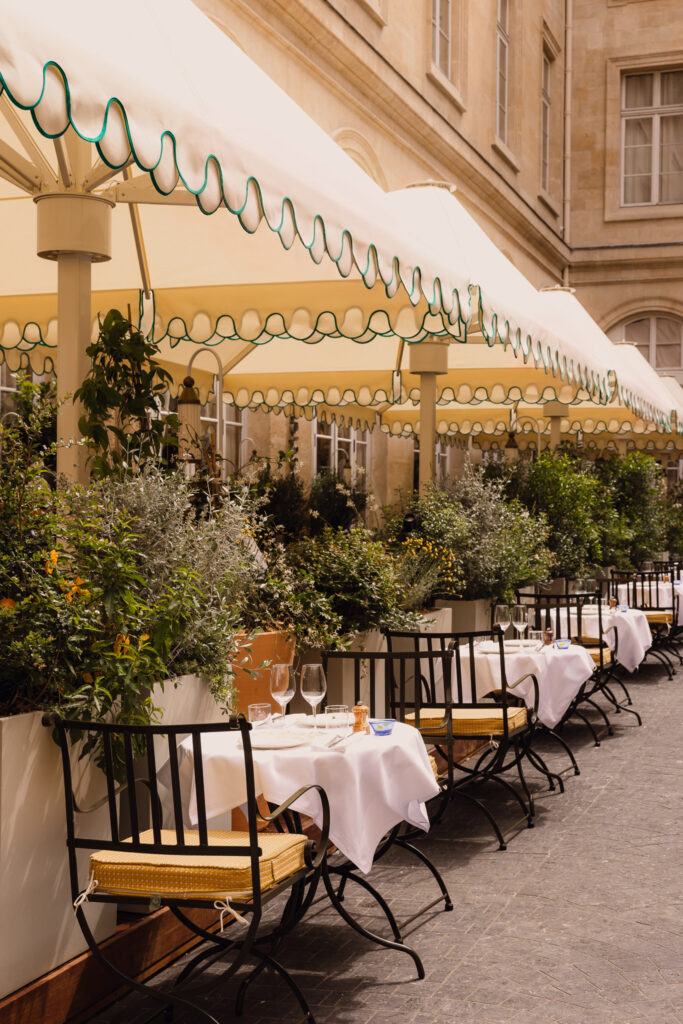 Sur la terrasse de l’Hôtel de la Marine, Mimosa déploie la Riviera à deux pas de la Concorde 44 Mimosa 062026 NolwennPernin 8