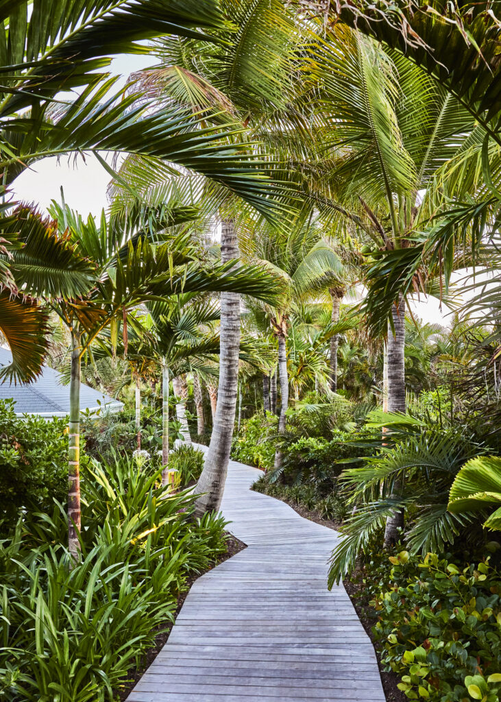 Rosewood Le Guanahani: Saint Barth that stands apart from the noise of the world 27 RLWGH generalview gardens evening portrait