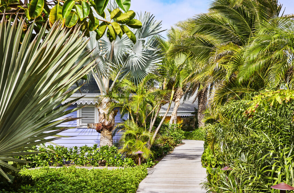 Rosewood Le Guanahani: Saint Barth that stands apart from the noise of the world 34 RWLGH generalview garden day