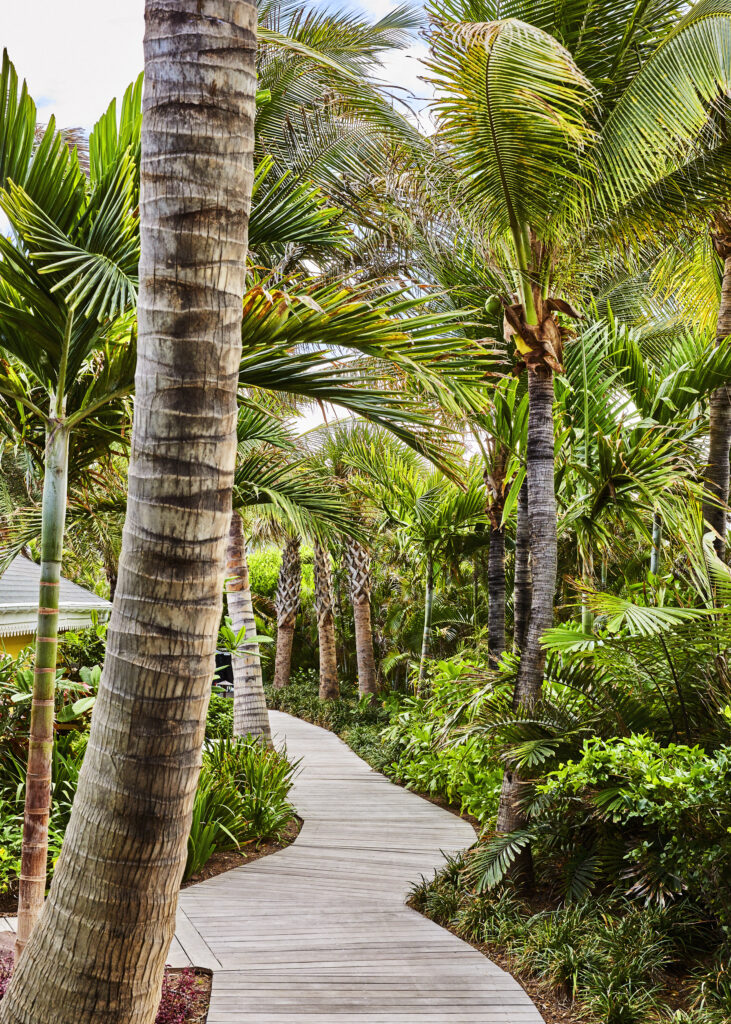 Rosewood Le Guanahani: Saint Barth that stands apart from the noise of the world 33 RWLGH generalview garden day portrait