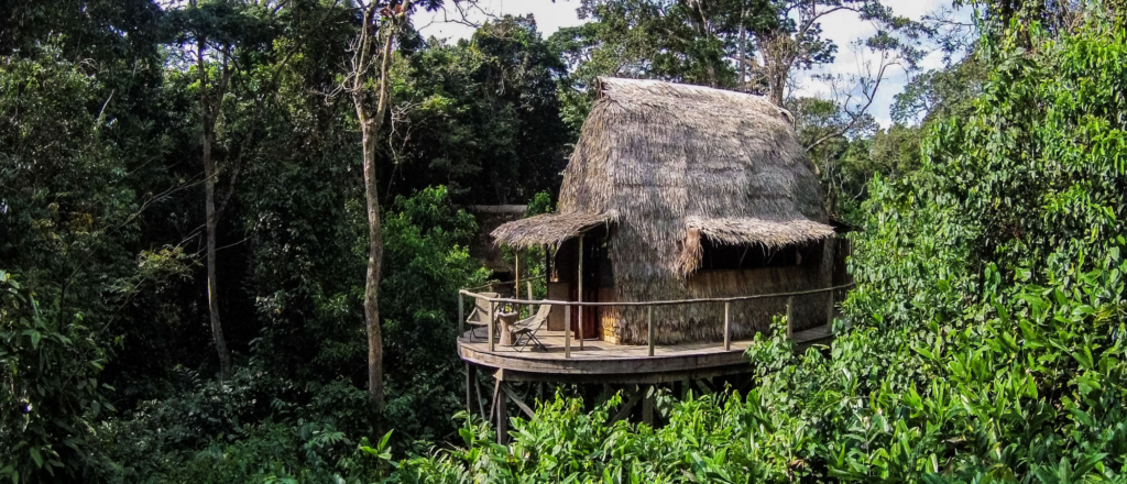 À Ngaga Lodge, on entre dans la forêt par le haut 75 Rectangle 27